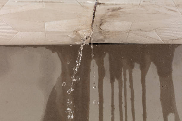 Professional Burst Pipe Cleanup technician working in Limestone, IL